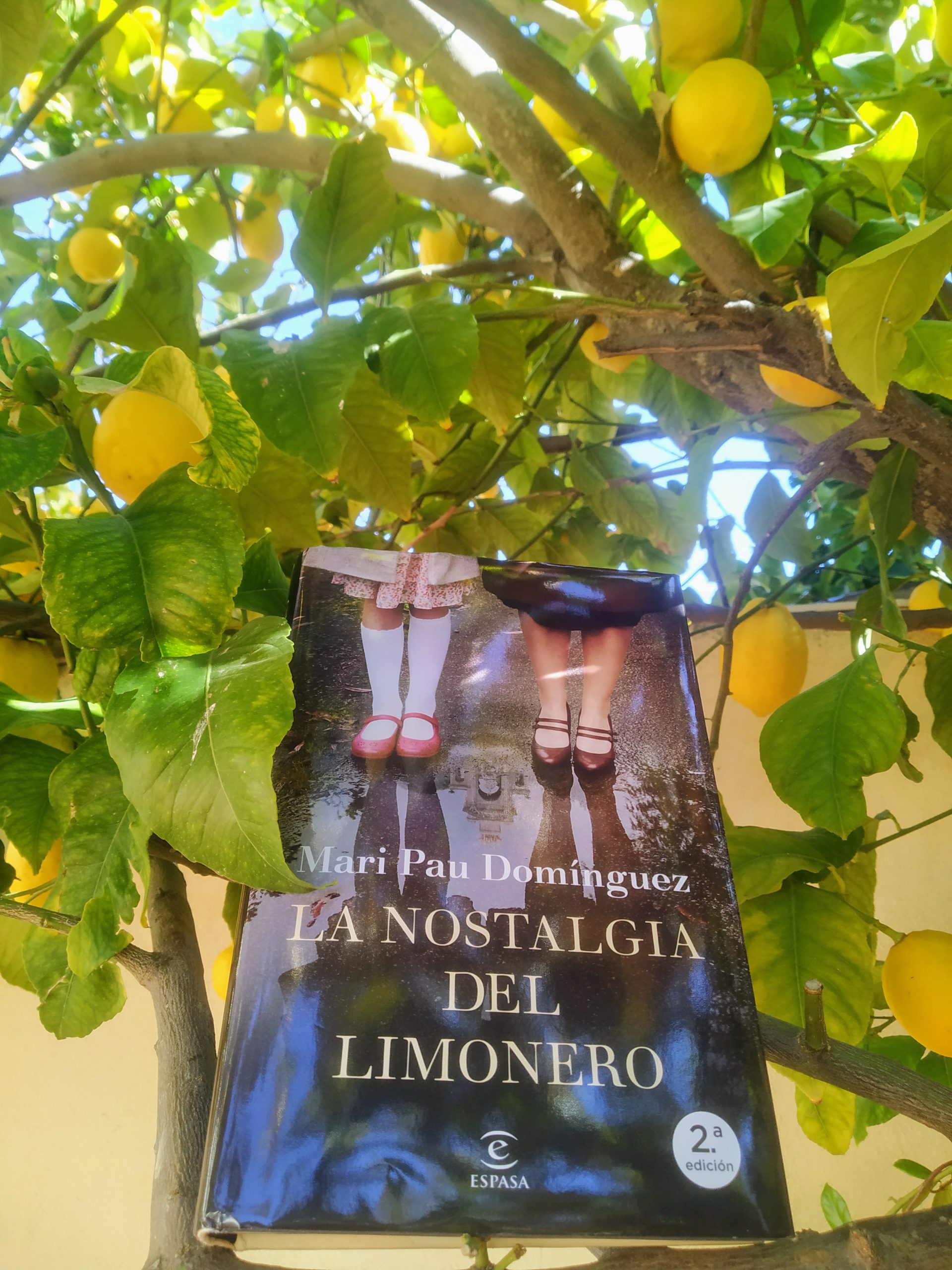 La nostalgia del limonero, de Mari Pau Domínguez