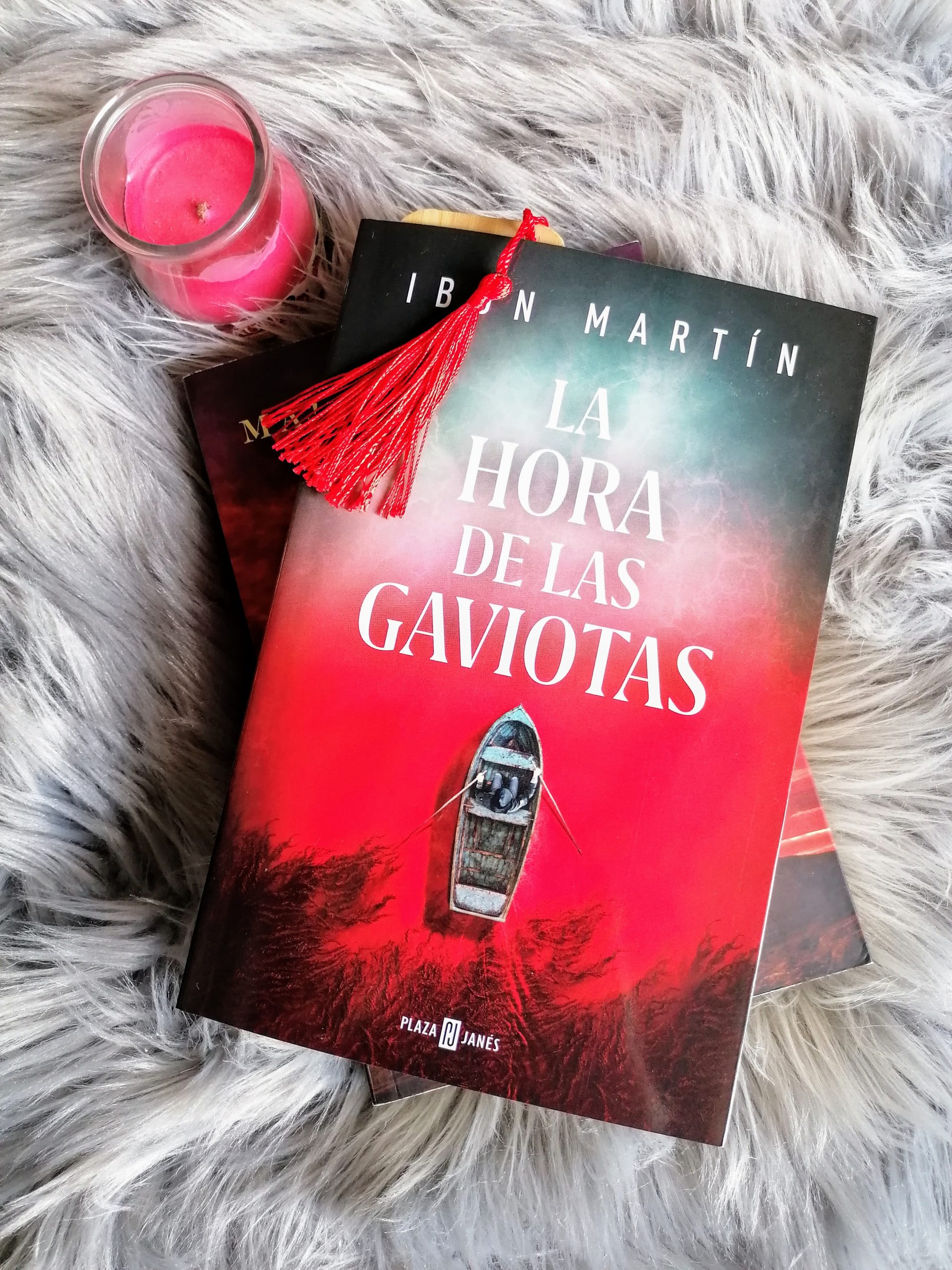 LA HORA DE LAS GAVIOTAS, de Ibon Martín.