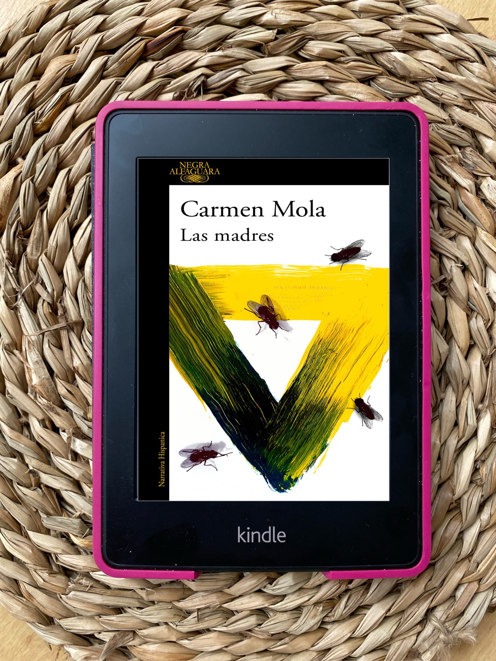 LAS MADRES, de Carmen Mola